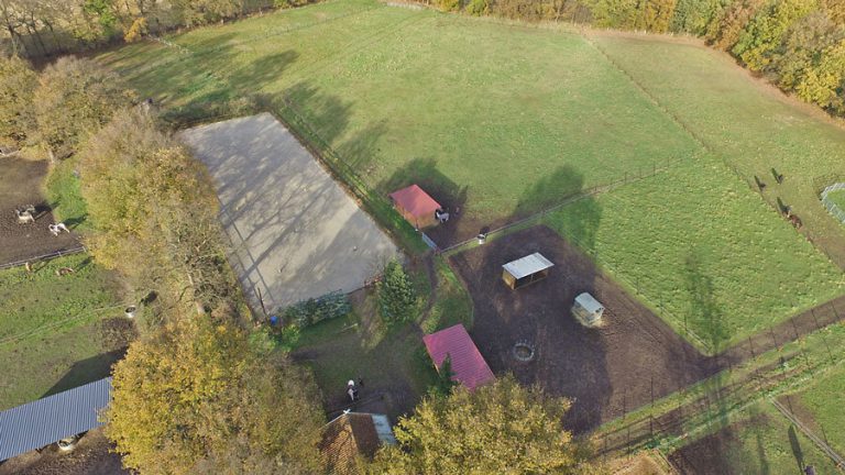 Gangpferde Vierhaus Luftbild